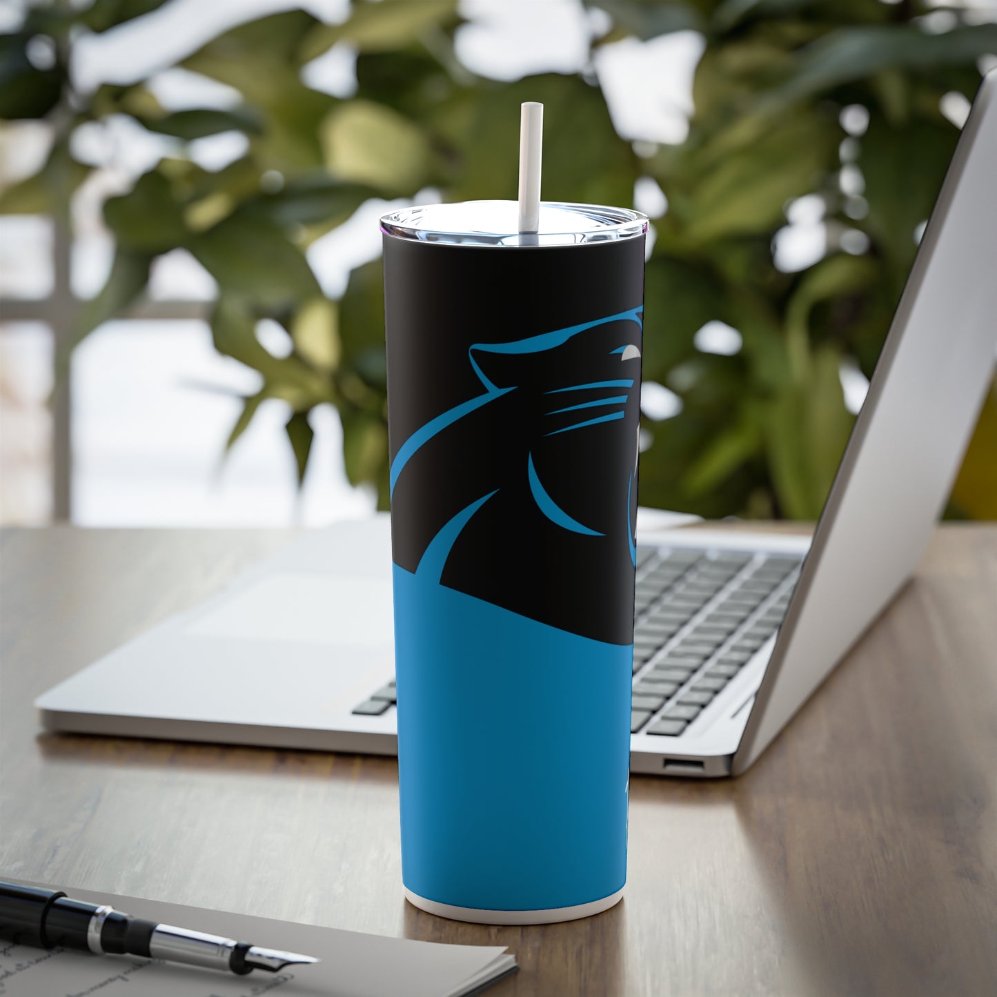Skinny Steel Tumbler with Straw, 20oz